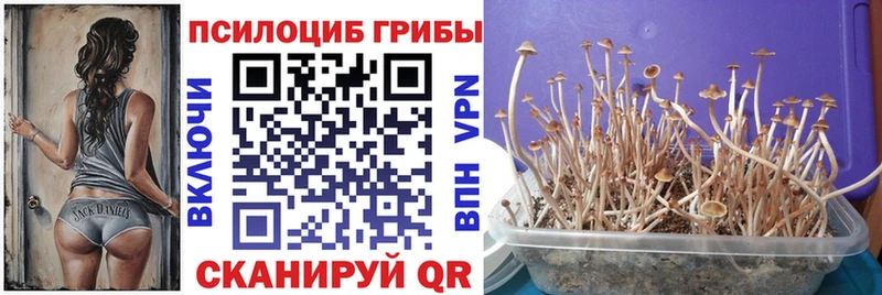 магазин    Катав-Ивановск  Галлюциногенные грибы ЛСД 