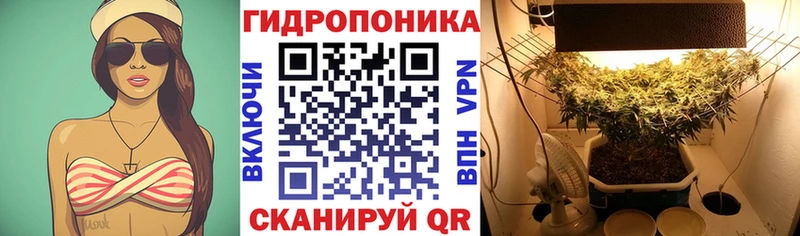 МАРИХУАНА семена  наркотики  Катав-Ивановск 